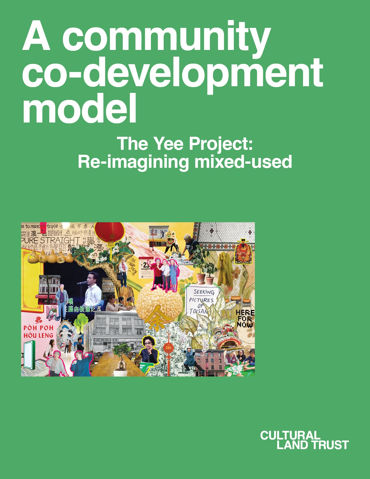 The Yee Project: a community co-development model