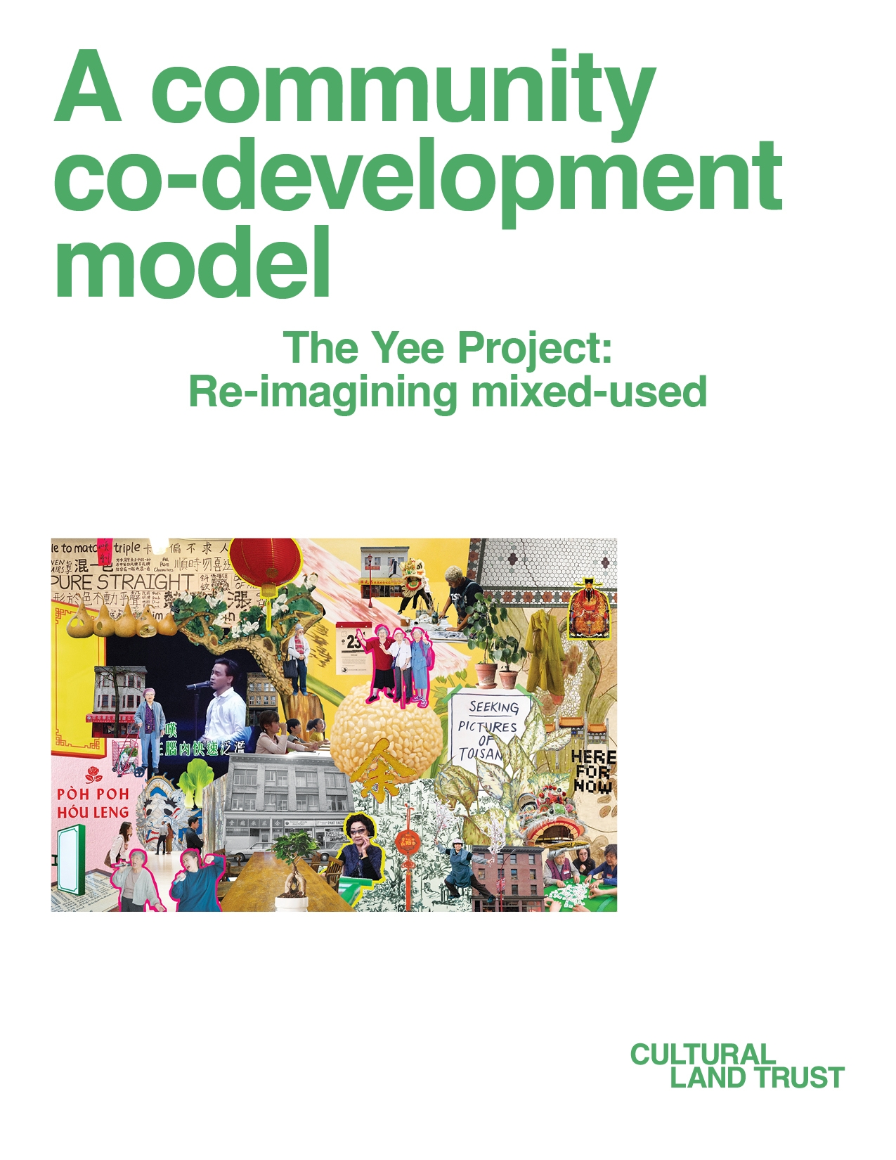 The Yee Project: a community co-development model